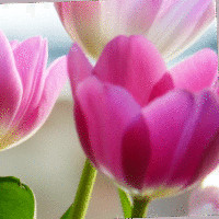 Jayant Saptarshi