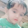 Shekh Sohel