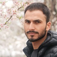 Basit Gul