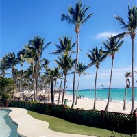 Yohann Chabni  Sellem