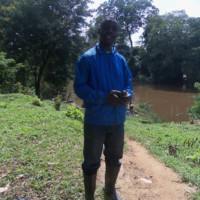 Marvelous Queejay-Weah