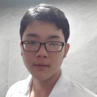 Tran Hoang Long