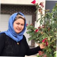 Basireh Heidari