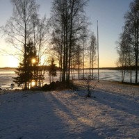 Torbjörn Utsi