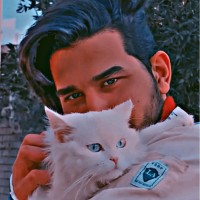 Aboody Kareem