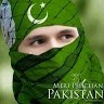 Muhammad Tamoor