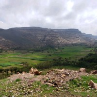 بكيل العراسي