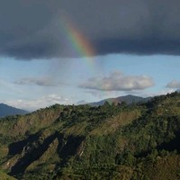 FERNANDO ORDOÑEZ MUÑOZ