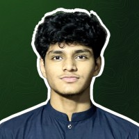 Shahzaib M.