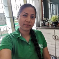 Arazeli Achote