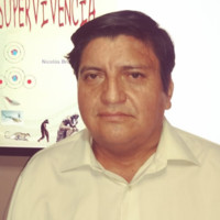 Nicolas Brito Grandes