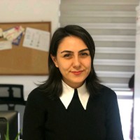 Burcu Öktem