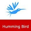 Humming Bird Informatics