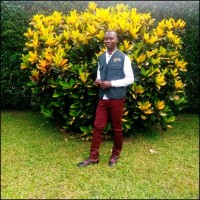 Mutasi Aggrey