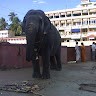 Raj Srini