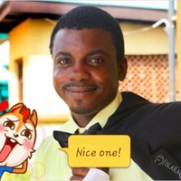 otemolu Stephen