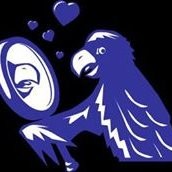 clippingservice provider