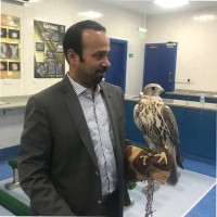 Rishi RamanKutty