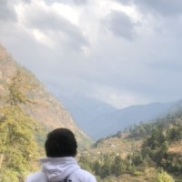 Neel S.