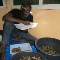 Babacar Sane, PhD
