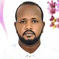 Alaaeldin Ahmed