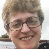 Debi Mckinnell