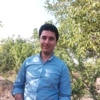 Yaser Sogandi