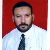 Hisham Abdulhameed - (2) Mini Mba