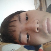张侨生