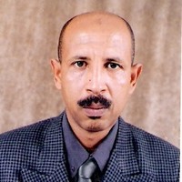 Emad Mousa