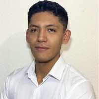 LUIS DAVID RAMIREZ RICO