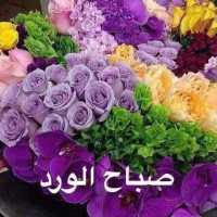 issam hatoum