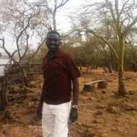 Mohammed Abdalla Younis