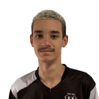 Luiz Henrique Barros Calazans