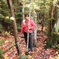 Luanne Ostrow