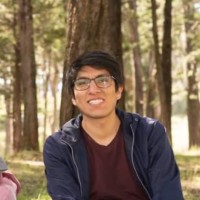 Cristian Castro Del Carpio