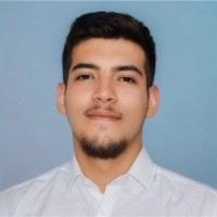 Mohamed Lakkis