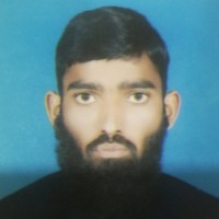 Muhammad Hafeez Freelancer
