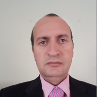 Mahmoud Eldaly