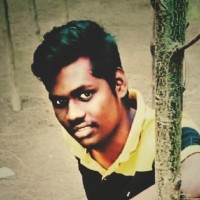 Dineshwaran p