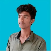 Saravanakumar S
