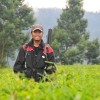 Mahendra Primajati