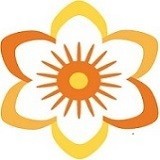 Le Tulipier de Virginie