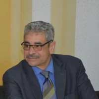 Bejaoui Fadhel