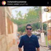Mohamed Mounir I.