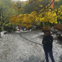 Naser Soleymani