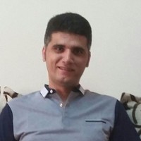 Abbas Borhaninia