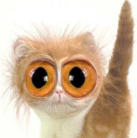 Dominik Přinesdomů