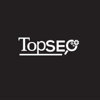 Top Seo