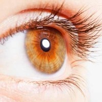 Helpfull Tips Telugu